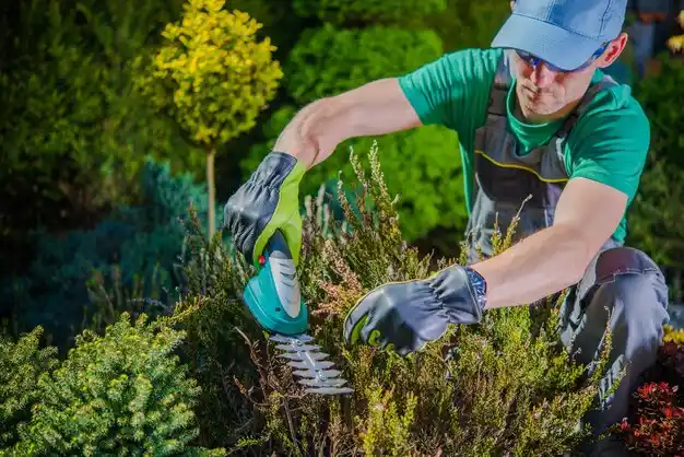 landscaping services Wadsworth